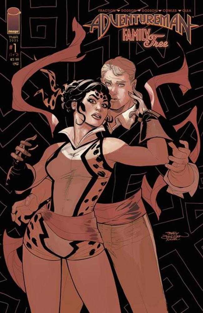 IMAGE COMIC BOOK Adventureman Family Tree #1 (Of 3) Cover A Terry Dodson & Rachel Dodson