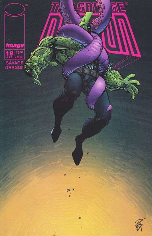 Image COMIC BOOK Savage Dragon #19 - CVR A (VF)