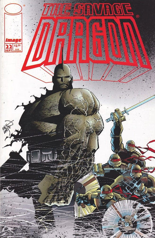 Image COMIC BOOK Savage Dragon #22 - CVR A (VF)