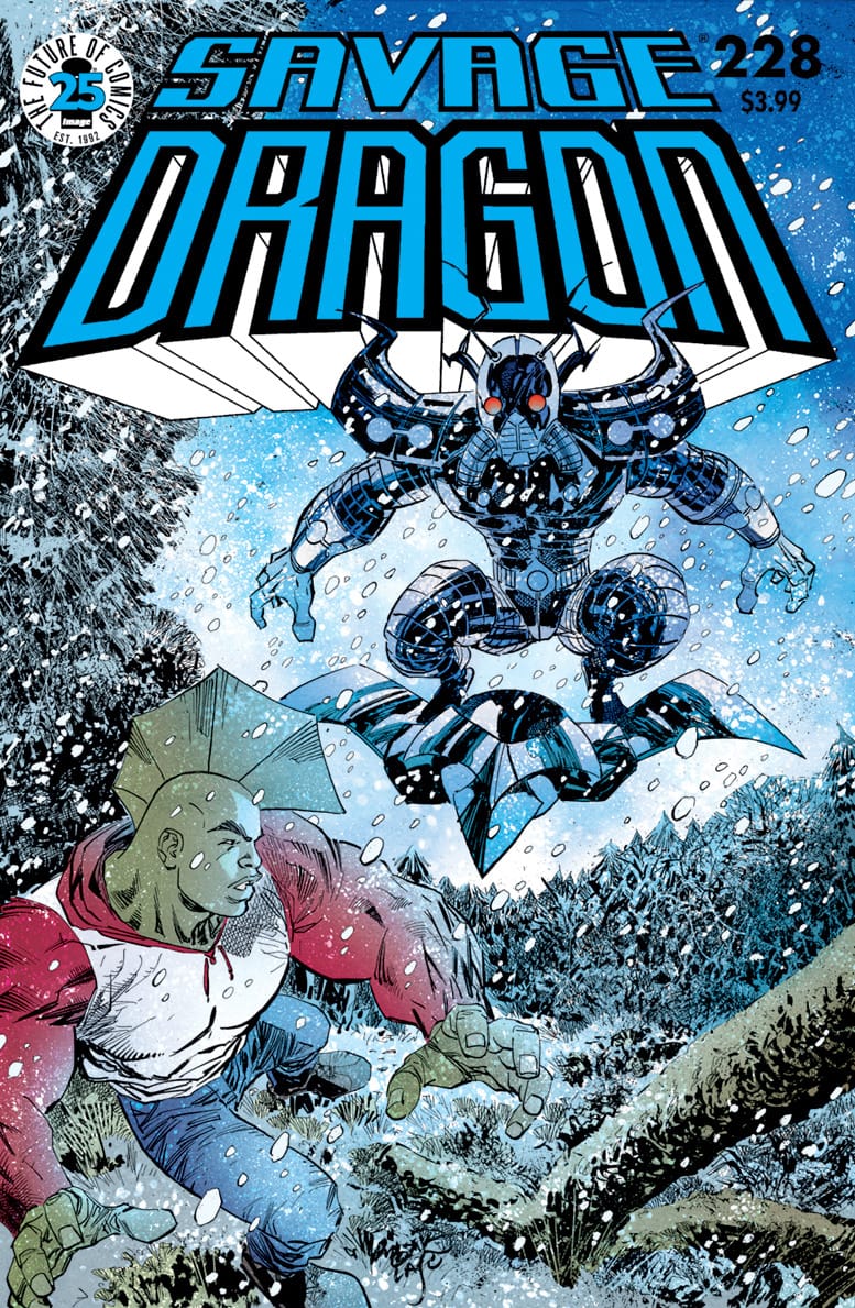 Image COMIC BOOK Savage Dragon #228 - CVR A (VF)
