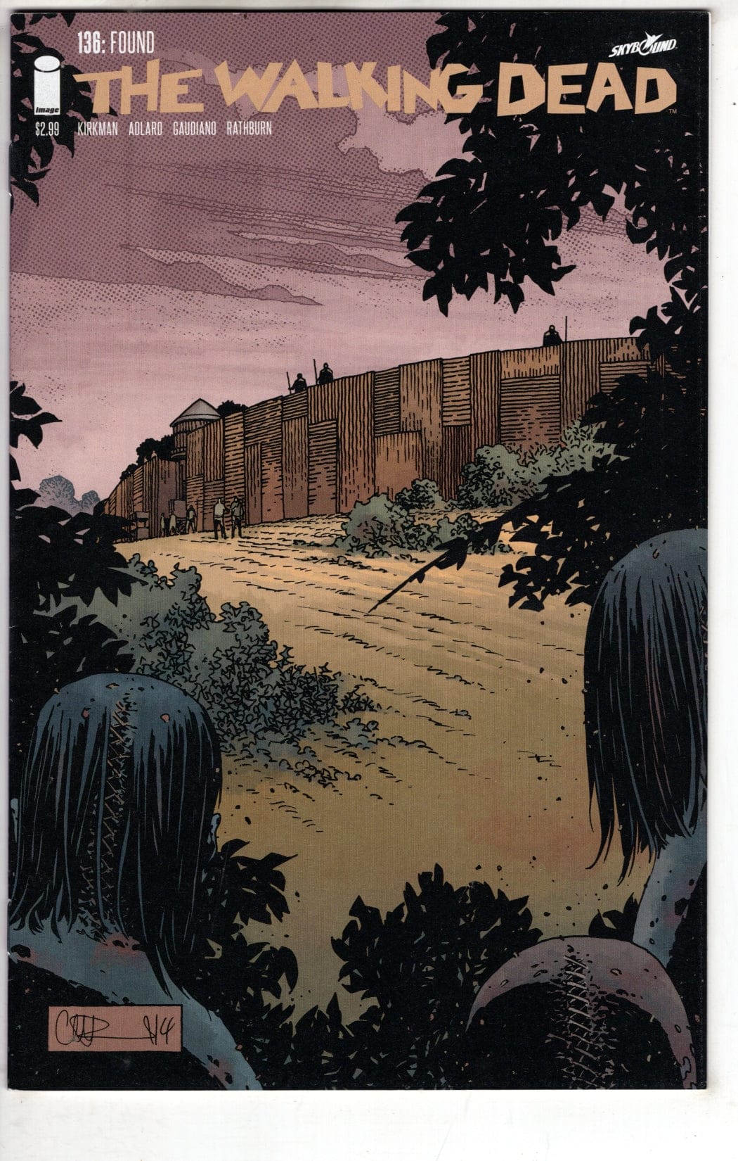 Image Comics Comics The Walking Dead #136 [VF/NM]