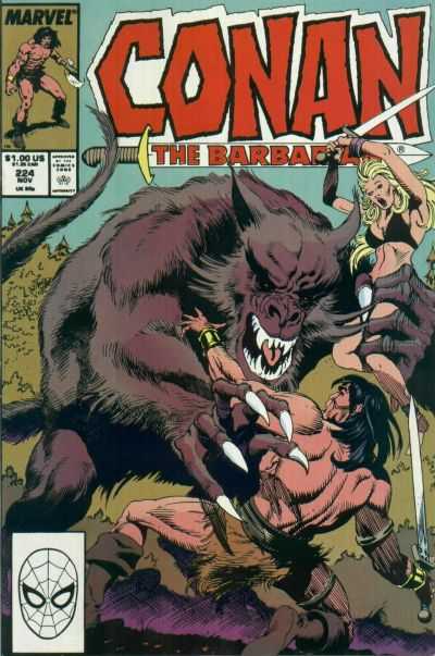 Marvel COMIC BOOK Conan the Barbarian #224 (VF)