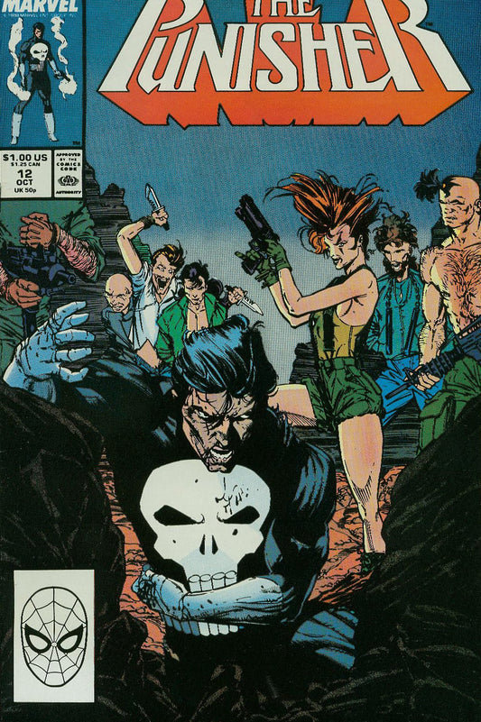 Marvel COMIC BOOK The Punisher #12 (VF)