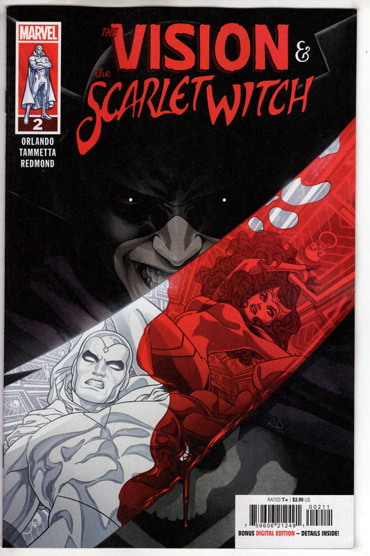 Marvel COMIC BOOK THE VISION & THE SCARLET WITCH #2