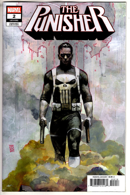 Marvel NEW THIS WEEK PUNISHER #2 ALEX MALEEV VARIANT (VF/NM)