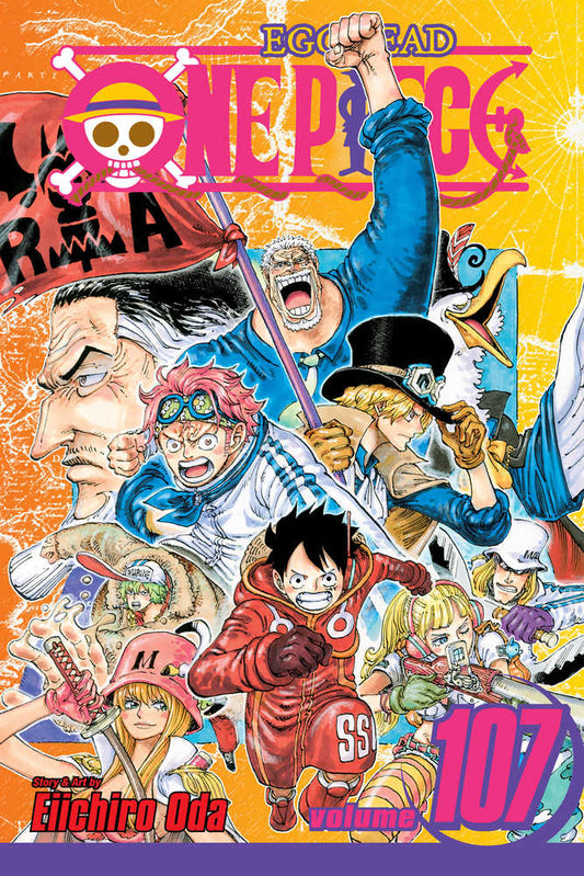 VIZ MEDIA LLC MANGA One Piece Graphic Novel Volume 107