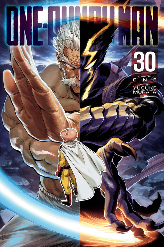 VIZ MEDIA LLC MANGA ONE PUNCH MAN GN VOL 30