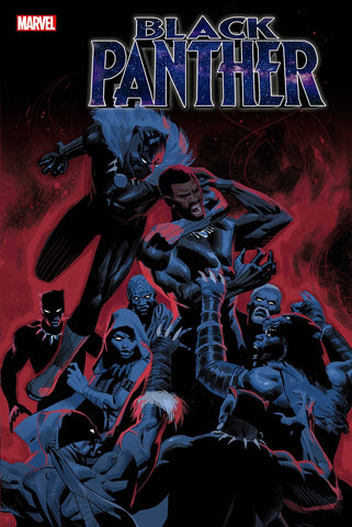 BLACK PANTHER #20 - Packrat Comics