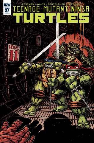 TMNT ONGOING #57 VARIANT (Stock Image) - Packrat Comics