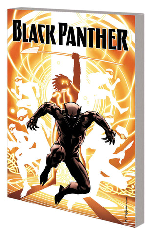 BLACK PANTHER TP BOOK 02 NATION UNDER OUR FE - Packrat Comics