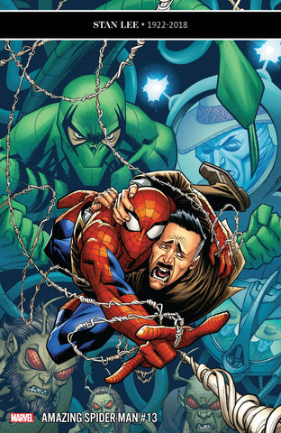 AMAZING SPIDER-MAN #13 - Packrat Comics