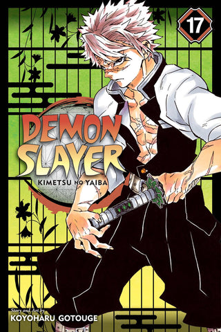 DEMON SLAYER KIMETSU NO YAIBA GN VOL 17 - Packrat Comics