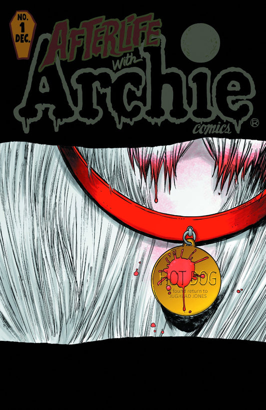 ARCHIE COMIC PUBLICATIONS Comics NM AFTERLIFE WITH ARCHIE #1 VARIANT  (Stock Image)