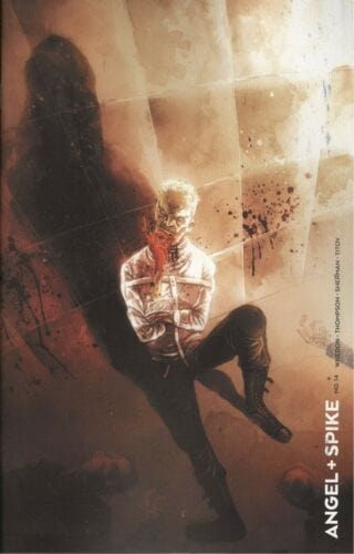 BOOM! STUDIOS COMIC BOOK ANGEL & SPIKE #14 CVR C BOWYER VAR