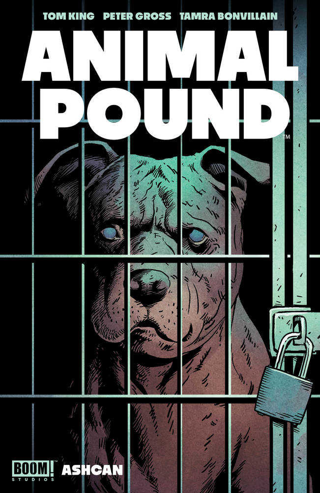 BOOM! STUDIOS COMIC BOOK Animal Pound Cover A Ashcan Gross