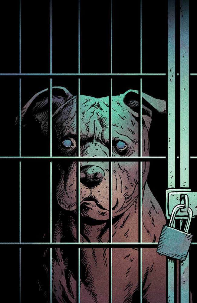 BOOM! STUDIOS COMIC BOOK Animal Pound Cover B Ashcan Unlockable Gross