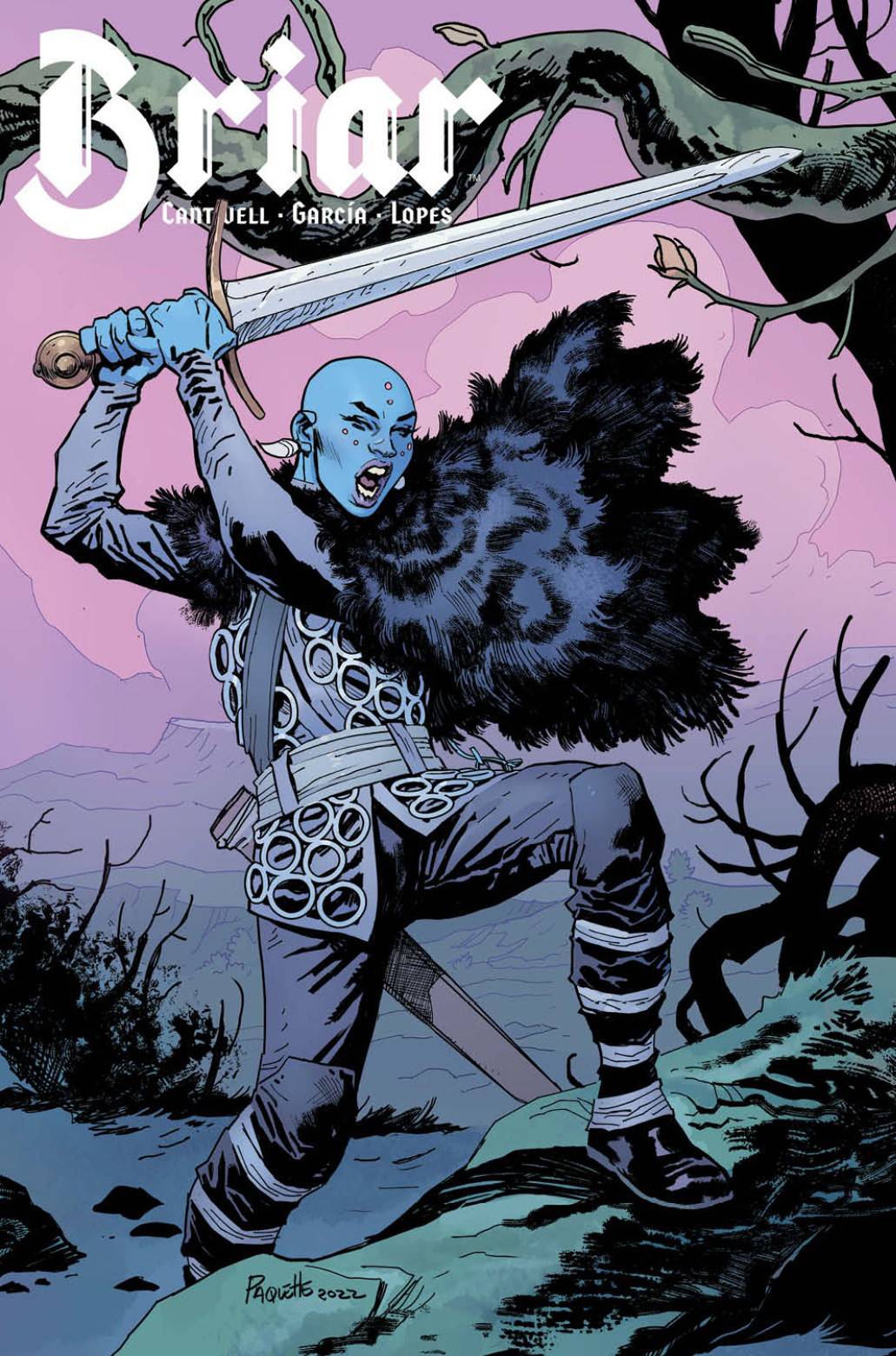 BOOM! STUDIOS COMIC BOOK BRIAR #2 (OF 4) CVR B PAQUETTE