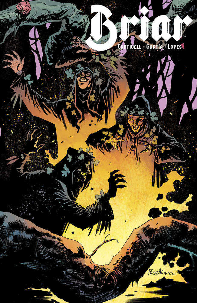 BOOM! STUDIOS COMIC BOOK Briar #3 (Of 4) Cover B Paquette