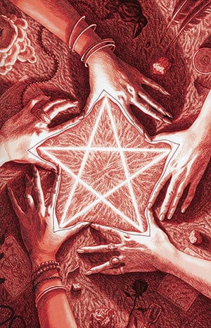 BOOM! STUDIOS COMIC BOOK NM An Unkindness Of Ravens #1 Cover D Incentive Thank You Variant Cover