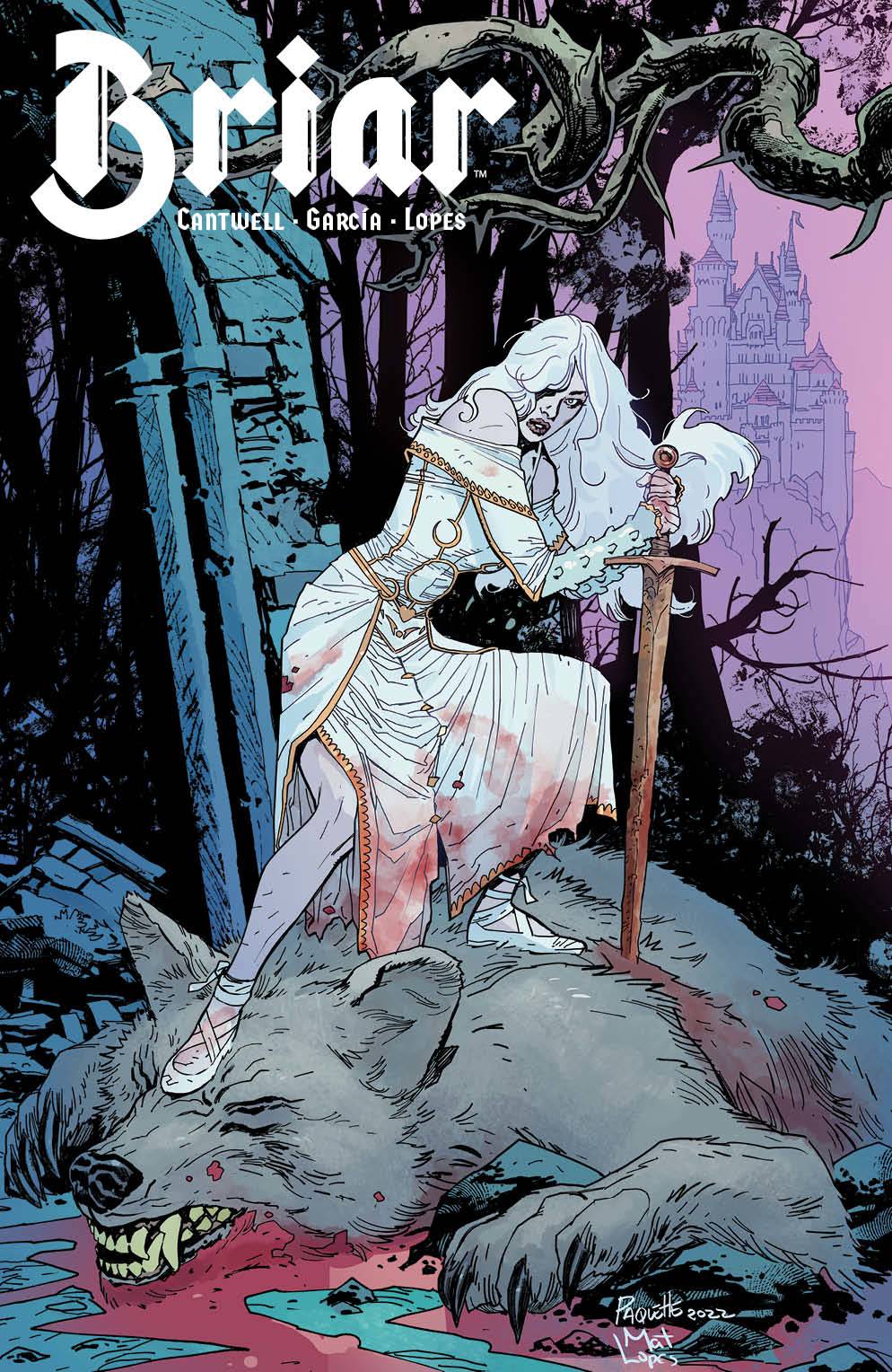 BOOM! STUDIOS COMIC BOOKS VF/NM BRIAR #1 (OF 4) CVR B PAQUETTE