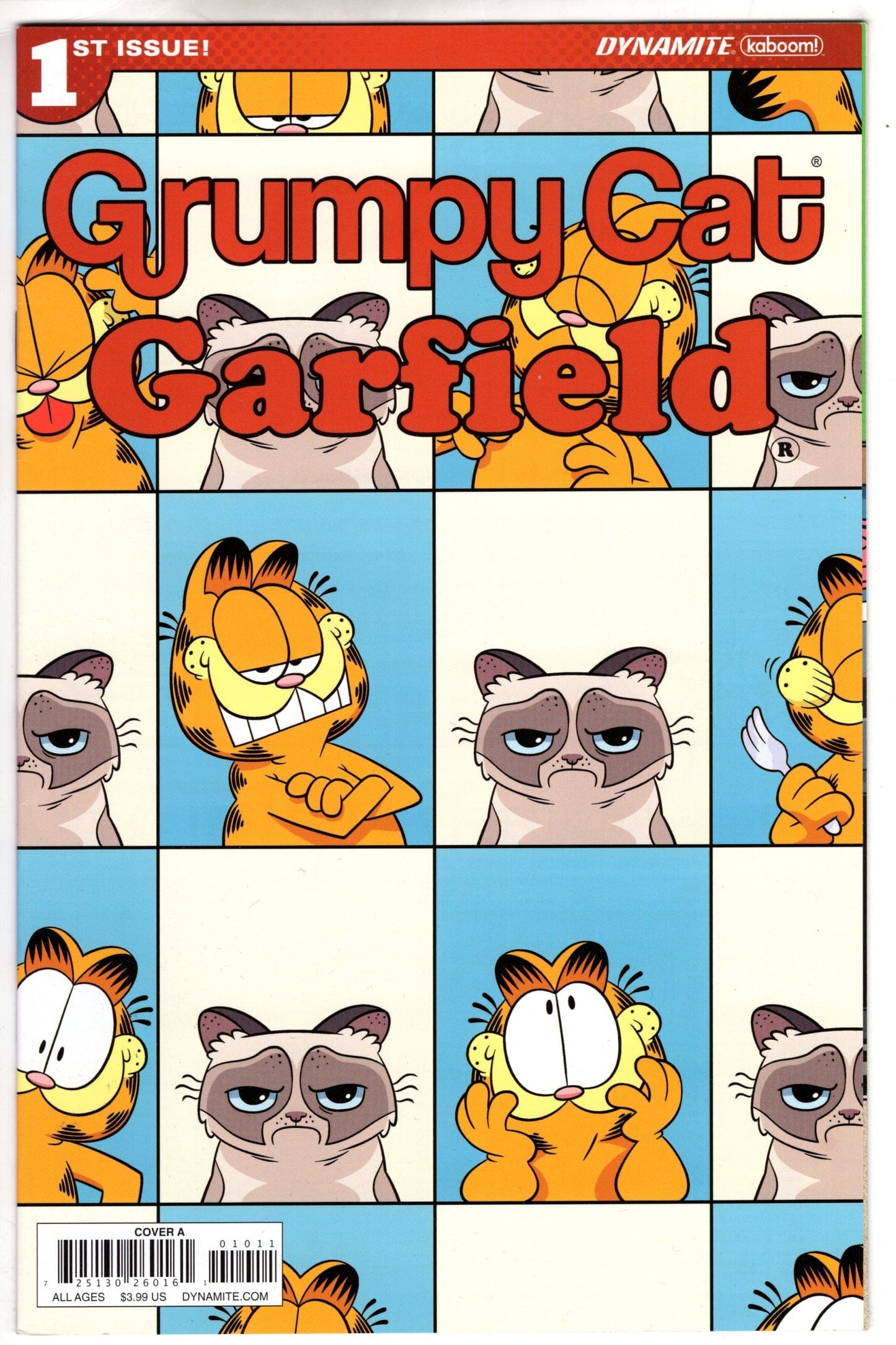 D. E. GRUMPY CAT GARFIELD #1 (OF 3) CVR A HIRSCH