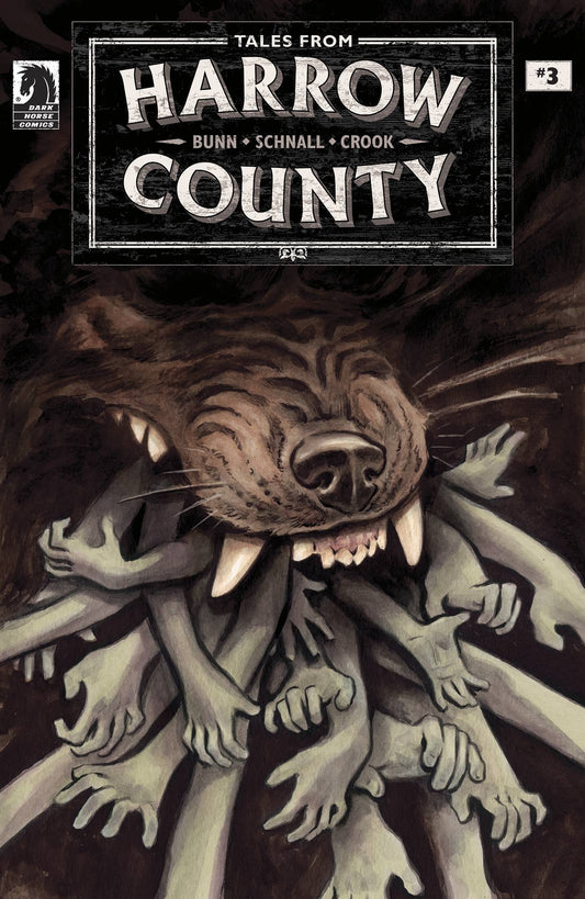 DARK HORSE COMICS COMIC BOOK VF/NM TALES FROM HARROW COUNTY LOST ONES #3 (OF 4) CVR A SCHNALL
