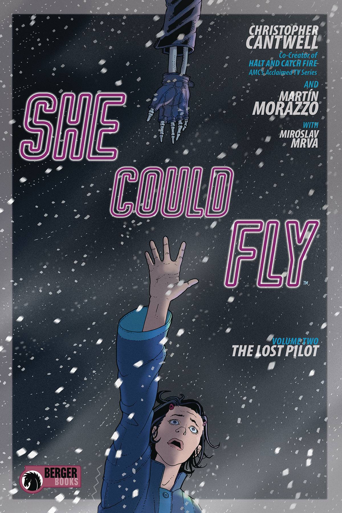 DARK HORSE COMICS TRADE SHE COULD FLY TP VOL 02 THE LOST PILOT