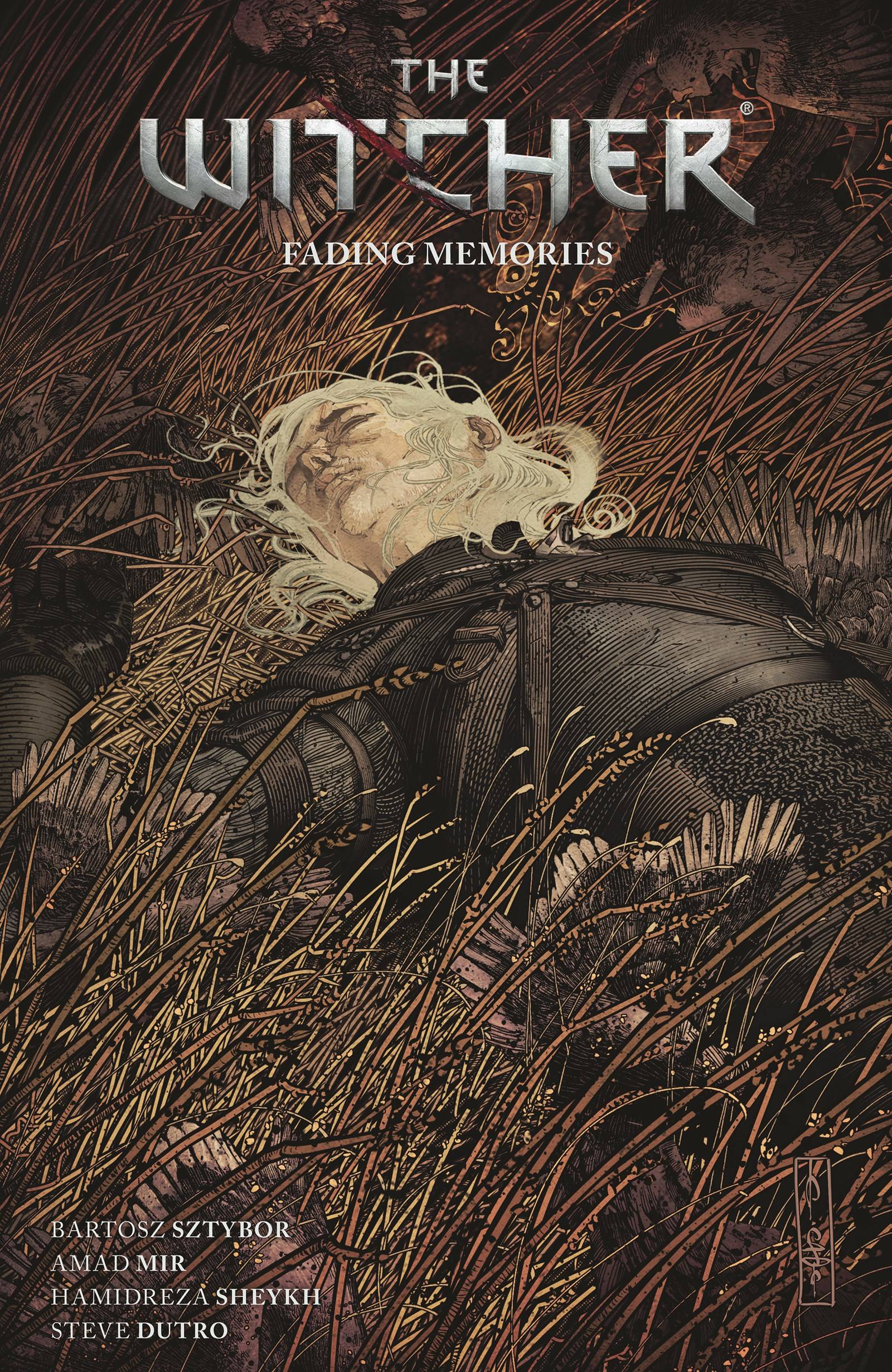 DARK HORSE COMICS TRADE WITCHER TP VOL 05 FADING MEMORIES (RES)