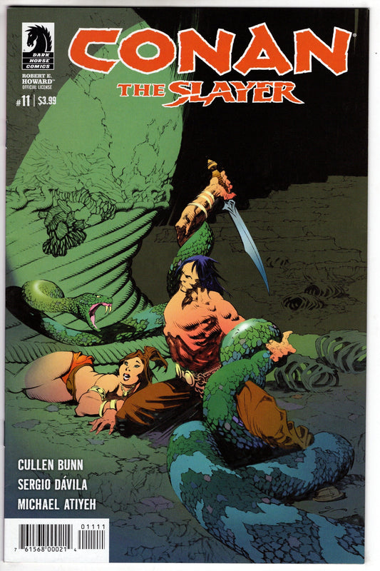 DARK HORSE COMICS VF/NM CONAN THE SLAYER #11