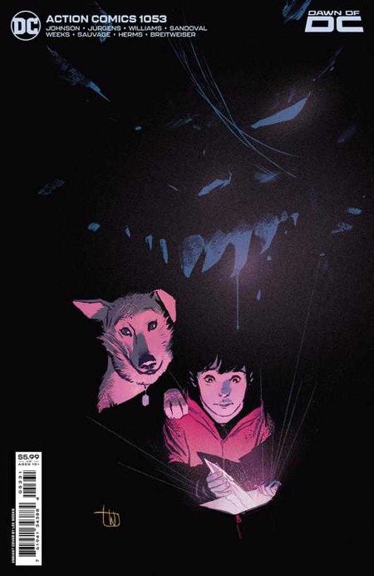 DC Comics COMIC BOOK Action Comics #1053 Cover C Lee Weeks Card Stock Variant