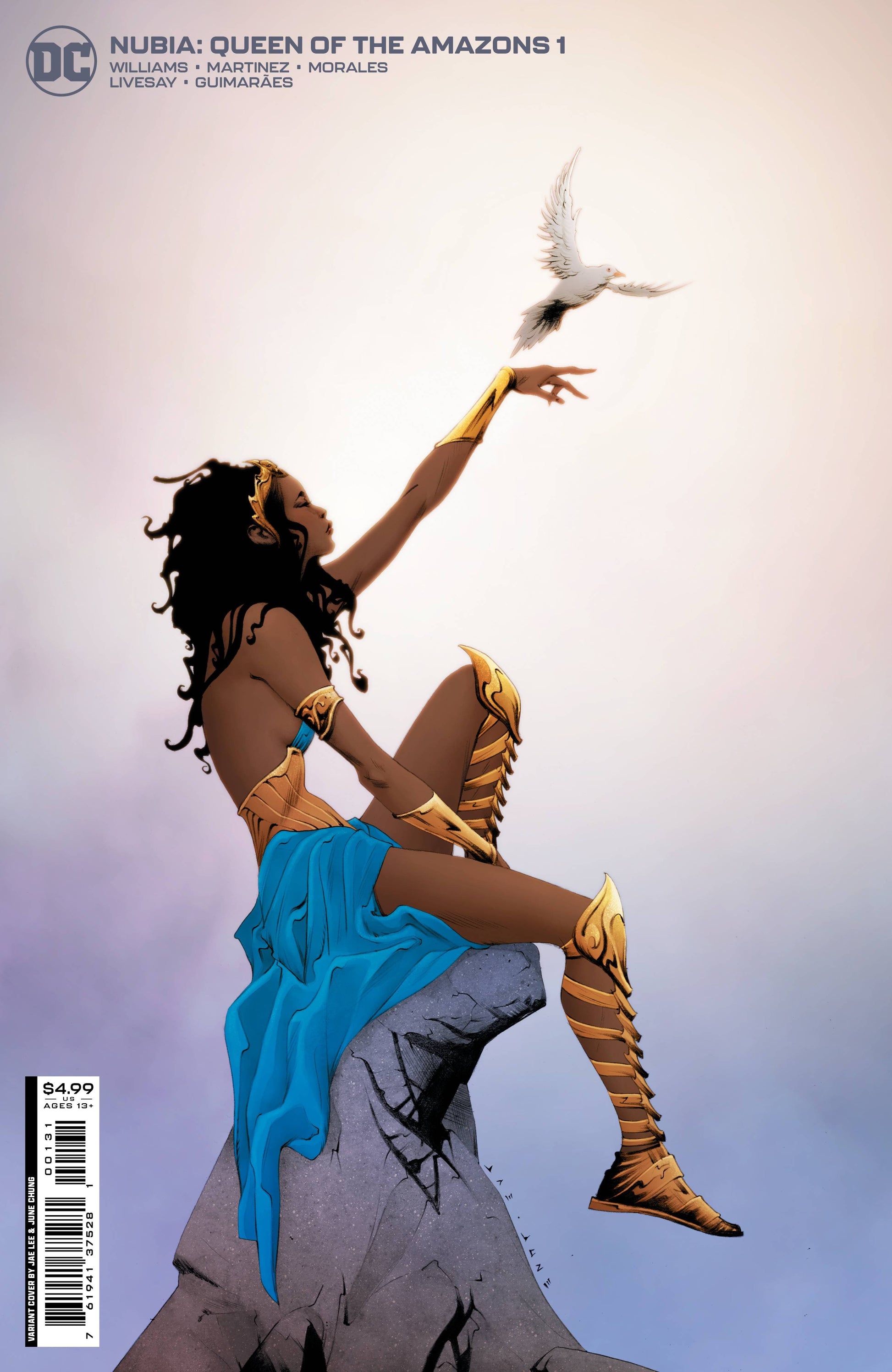 DC COMICS COMIC BOOK NUBIA QUEEN OF THE AMAZONS #1 CVR B LEE