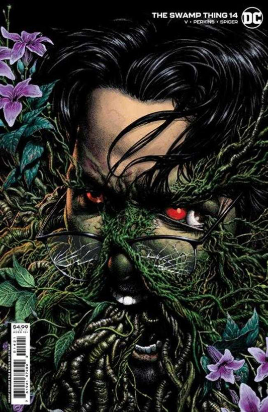DC Comics COMIC BOOK VF/NM Swamp Thing #14 (Of 16) Cover B Steve Beach Card Stock Variant