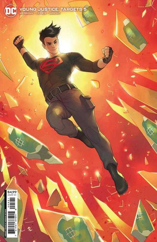 DC Comics COMIC BOOK Young Justice Targets #5 (Of 6) Cover B Meghan Hetrick Card Stock Variant
