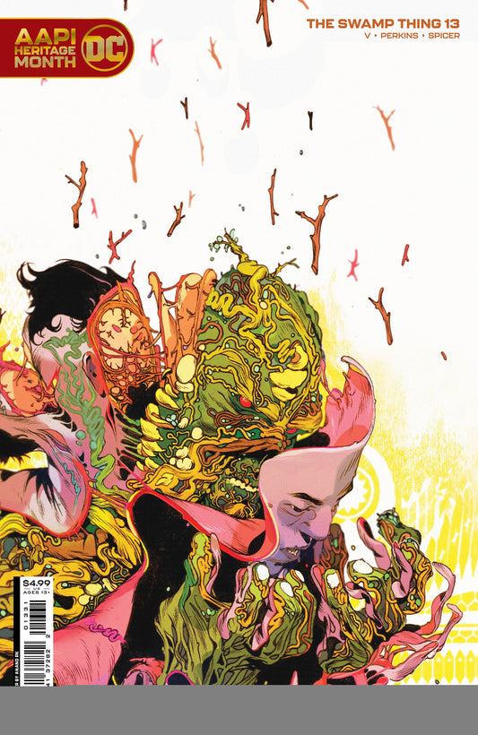 DC COMICS COMIC BOOKS VF/NM SWAMP THING #13 (OF 16) CVR C RK AAPI CARD STOCK VARIANT