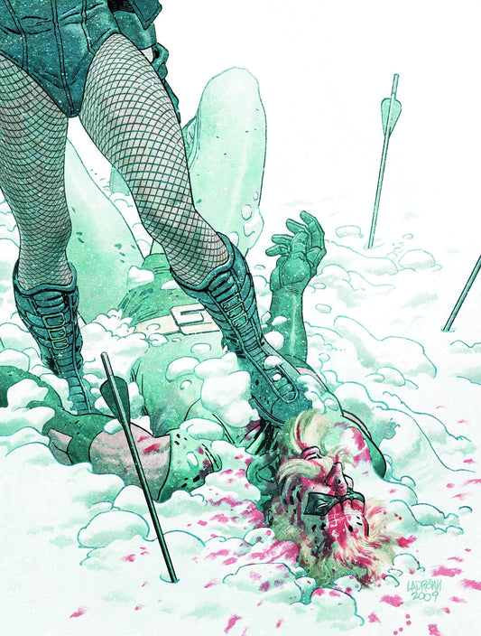 DC COMICS Comics GREEN ARROW BLACK CANARY #29