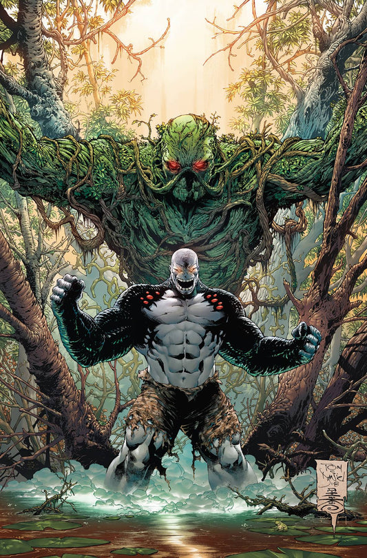 DC COMICS DAMAGE #6