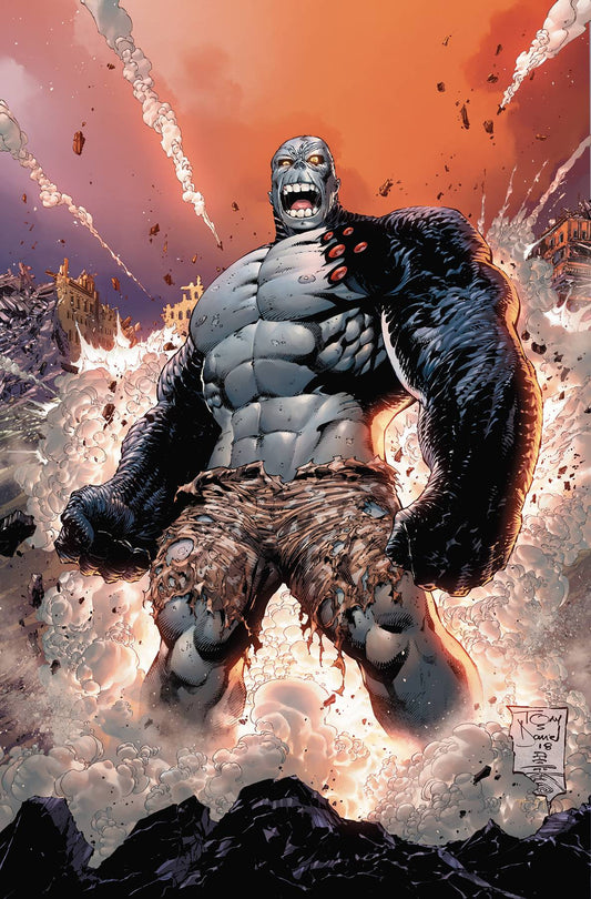 DC COMICS DAMAGE #7