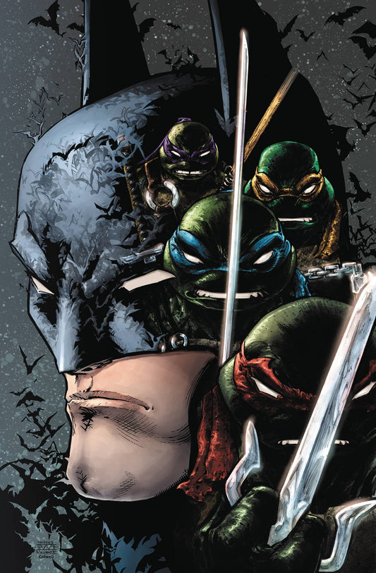 DC COMICS DC COMICS BATMAN TEENAGE MUTANT NINJA TURTLES III #2 (OF 6)