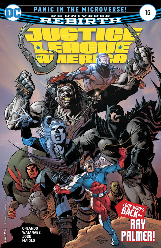 Dc Comics Dc Comics JUSTICE LEAGUE OF AMERICA #15