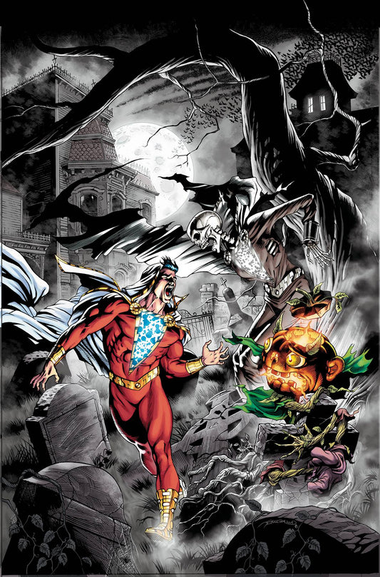 DC COMICS DC COMICS SHAZAM #8
