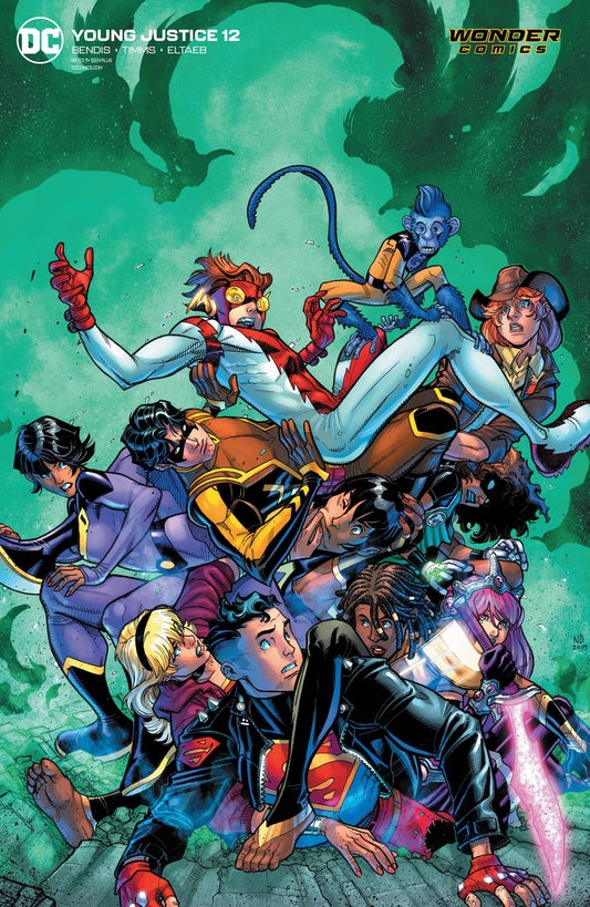 DC COMICS DC COMICS YOUNG JUSTICE #12 CARD STOCK VAR ED