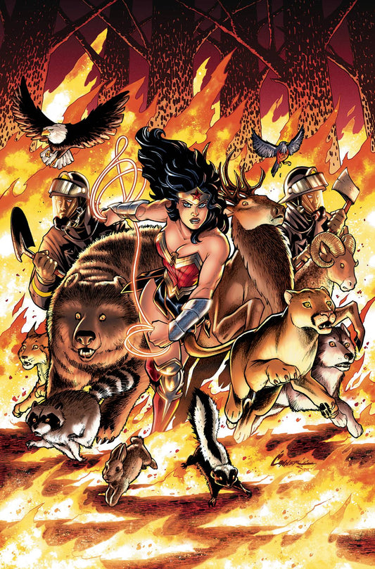 DC COMICS TRADE WONDER WOMAN COME BACK TO ME TP
