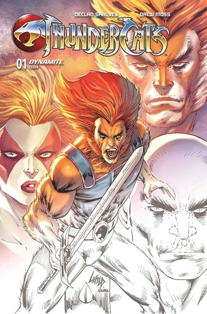 DYNAMITE COMIC BOOK Thundercats #1 2nd Print Cover A Liefeld