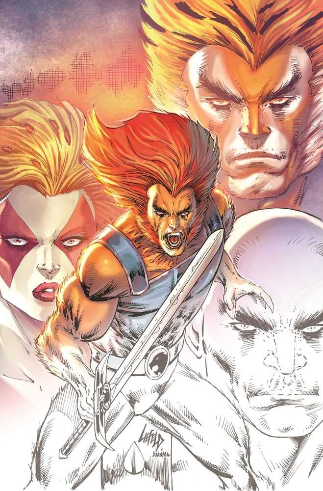 DYNAMITE COMIC BOOK Thundercats #1 2nd Print Cover B 10 Copy Variant Edition Liefeld Virgin