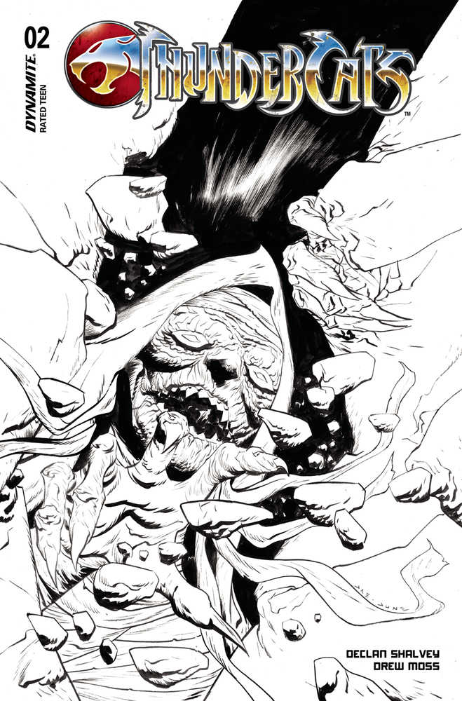 DYNAMITE COMIC BOOK Thundercats #2 Cover O 20 Copy Variant Edition Lee Line Art