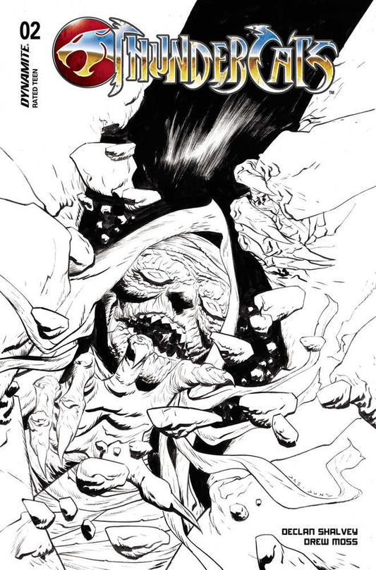 DYNAMITE COMIC BOOK Thundercats #2 Cover O 20 Copy Variant Edition Lee Line Art