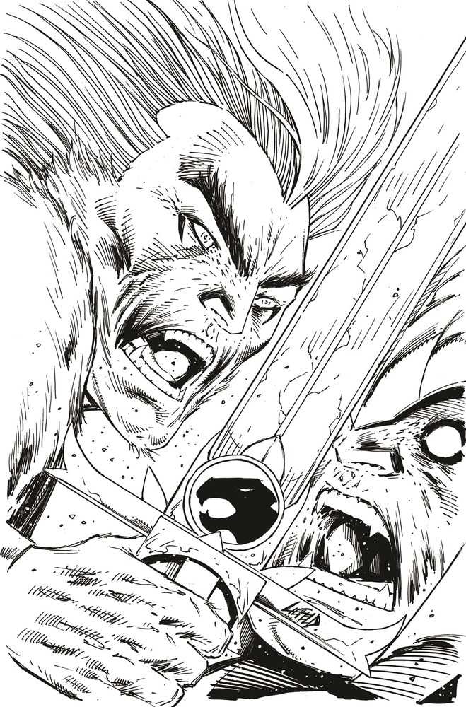 DYNAMITE COMIC BOOK Thundercats #2 Cover Zd 11 Copy Foc Variant Edition Liefeld Black & White Virgin