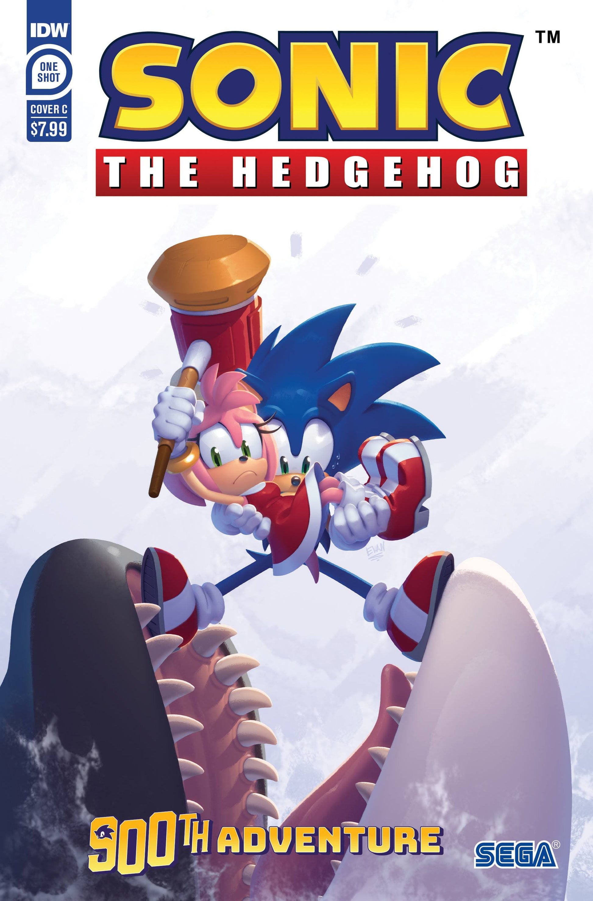 IDW PUBLISHING COMIC BOOK SONIC THE HEDGEHOGS 900TH ADVENTURE CVR C STANLEY