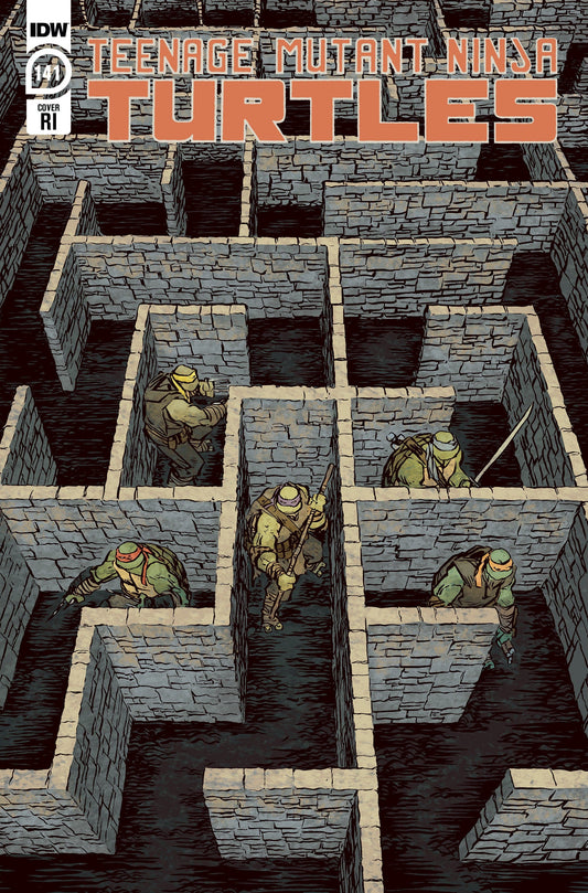 IDW PUBLISHING COMIC BOOK Teenage Mutant Ninja Turtles #141 Variant Ri (10) (Lonergan)