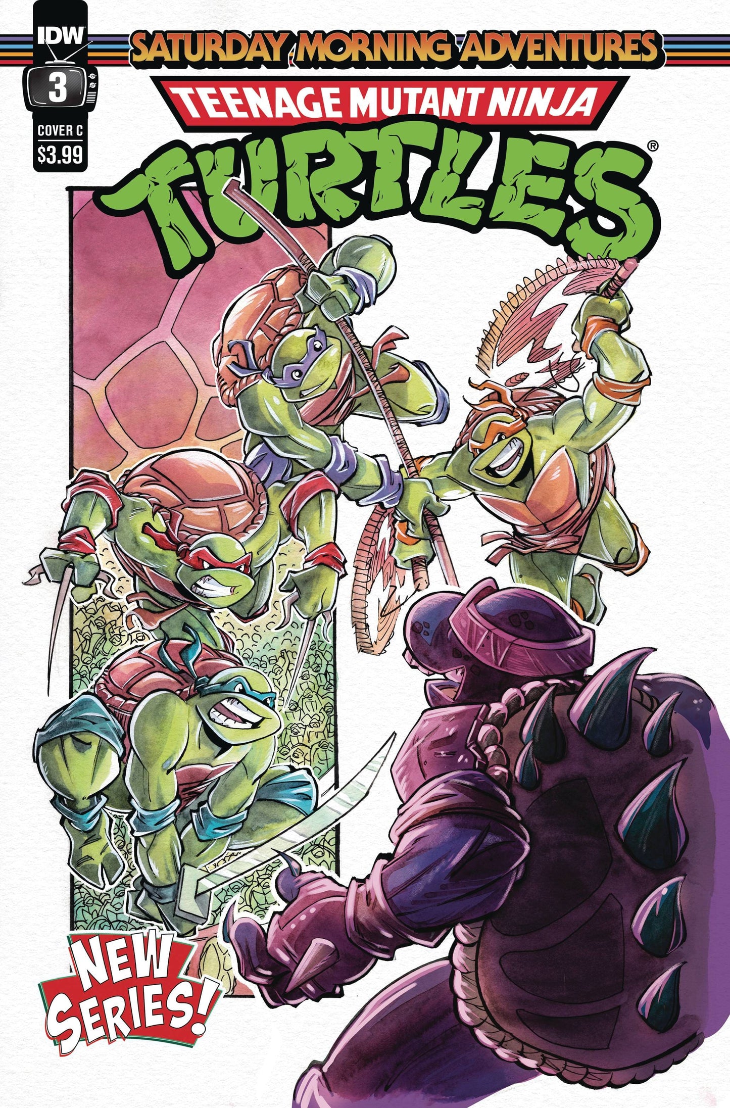 IDW PUBLISHING COMIC BOOK TMNT SATURDAY MORNING ADV CONTINUED #3 CVR C DALEY